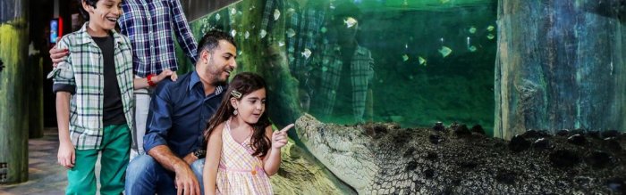     Dubai Zoo and Aquarium