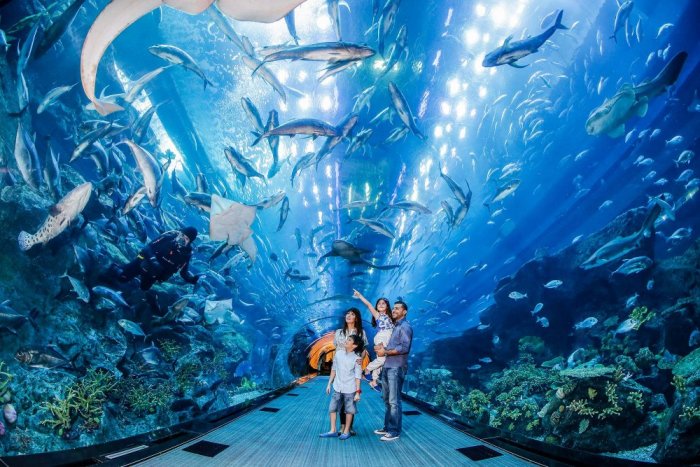 Dubai Zoo and Aquarium