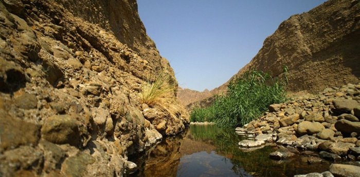 Wadi Al-Waria 