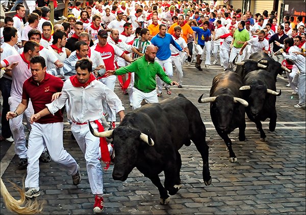 Bull racing, Pamplona