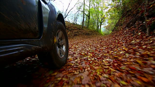 Basic tips for road trips in the fall