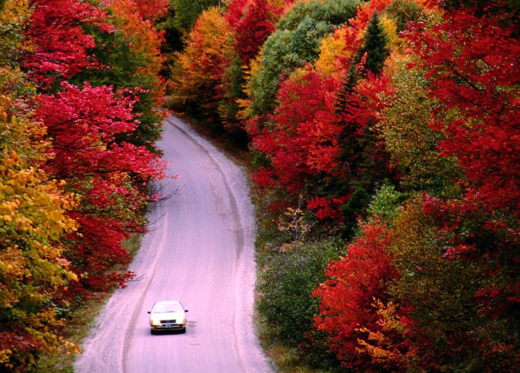 Tour of autumn scenes