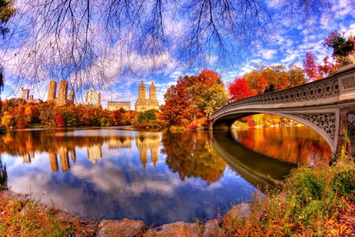 New York in autumn colors