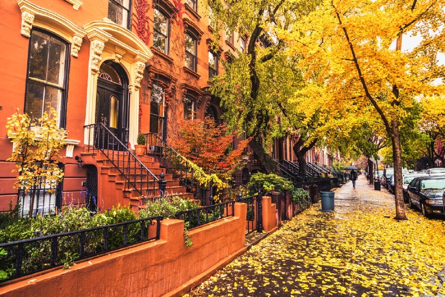 Beauty of New York in the fall