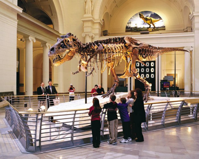 Follow these tips for a great visit to museums