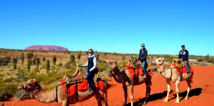 1581288053 435 7 things to do in Australia in your thirties - 7 things to do in Australia in your thirties