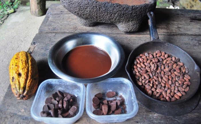 Variety of Costa Rican products of chocolate