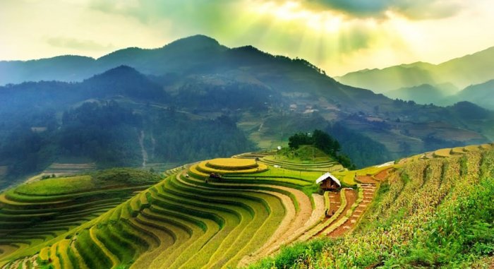 Nature is charming in Vietnam