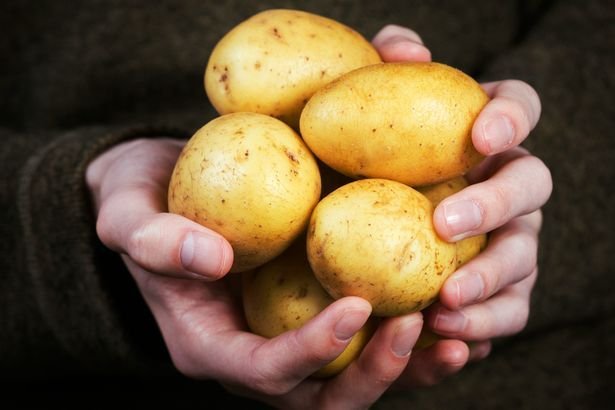 Introducing Polish fries to Britain