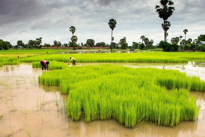 Do not visit Cambodia in the rainy season