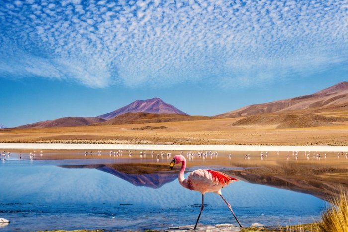    Don't forget to go on an exploration in the charming natural regions of Bolivia