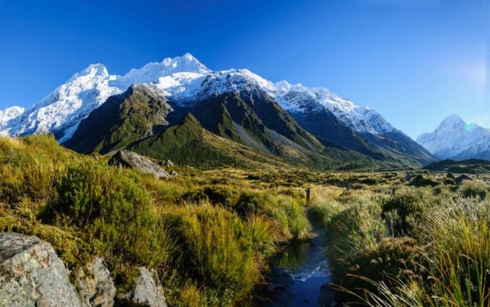 Beauty and magic in New Zealand.
