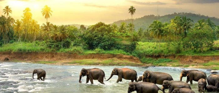 Best times to travel to Sri Lanka