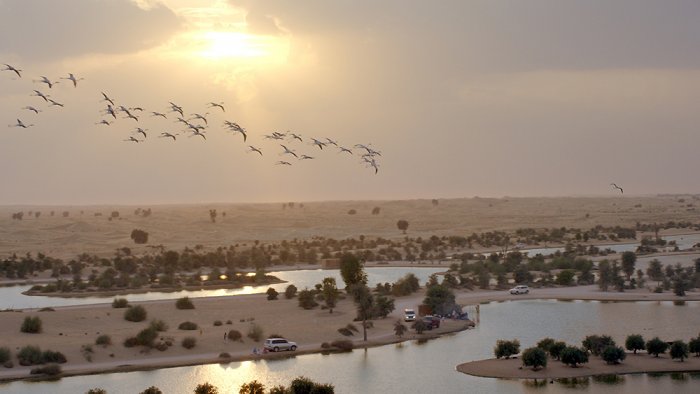Al Marmoum - an ideal destination for nature lovers