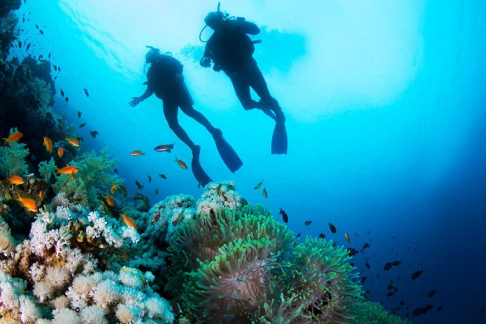 Make sure to try diving during your trip in Fiji