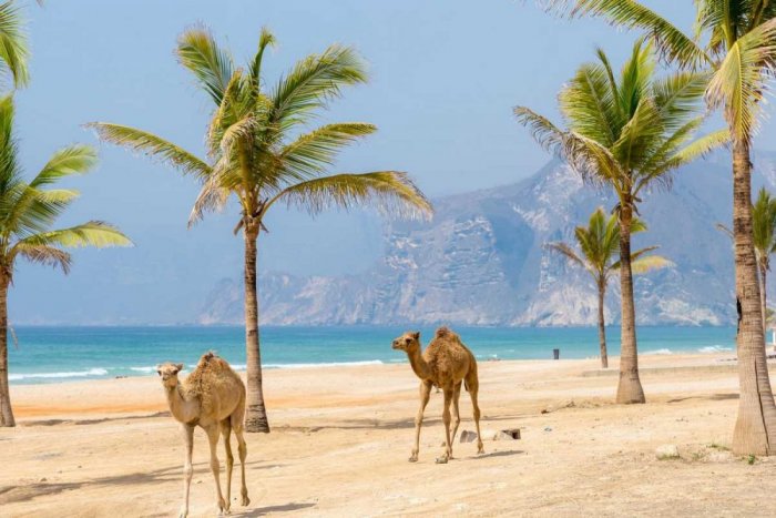 Magic of the air in the Sultanate of Oman