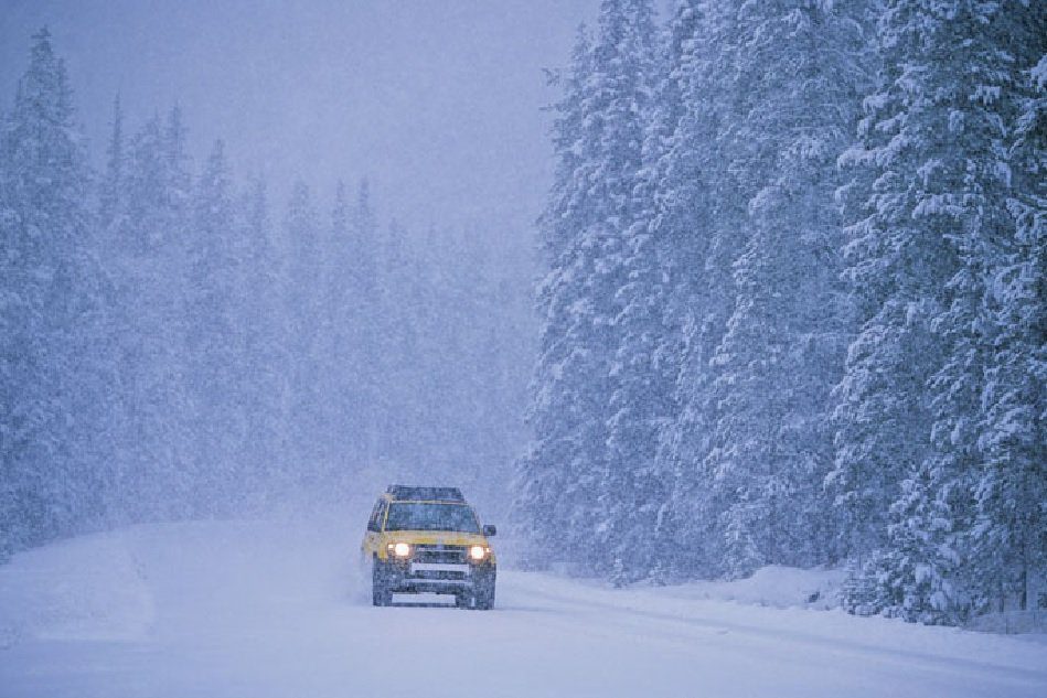 A wild tourism trip in the winter? Here are the necessary procedures