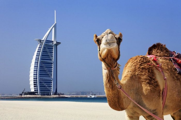     You can visit Dubai without spending much