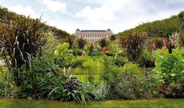 The Botanical Garden is one of the best places for tourism in Paris