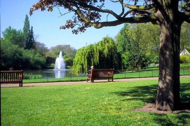 Hyde Park near Buckingham Palace in London England - Buckingham Palace