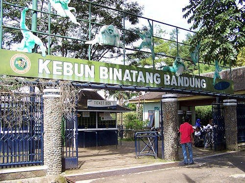 The Zoo in Bandung is one of the most important places of tourism in Bandung