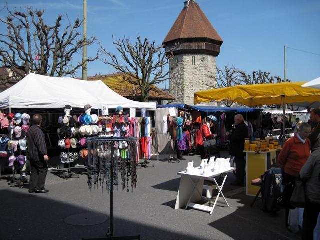 Lucerne Markets
