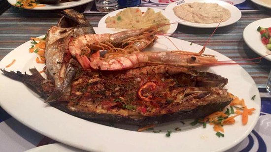 Seven Seas restaurant or Seven Seas is one of the best restaurants in Alexandria specialized in fish dishes
