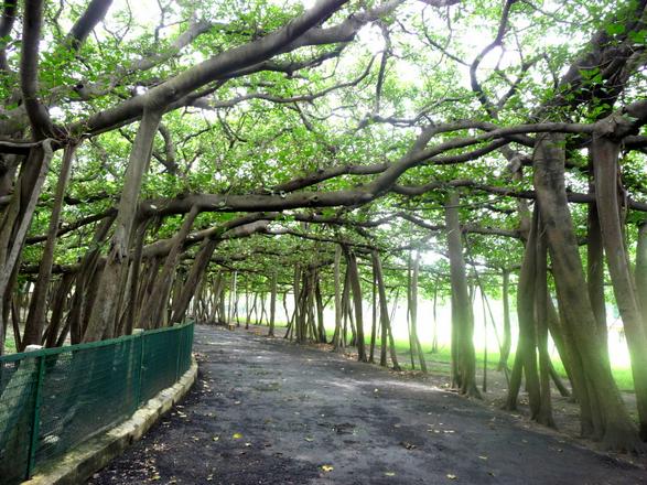 Palm Garden is one of the most beautiful tourist places in Frankfurt, Germany