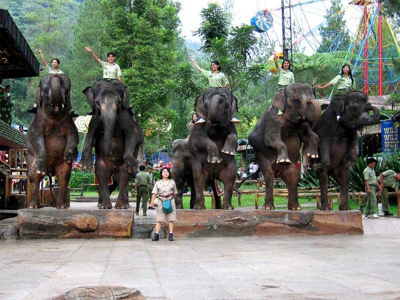 Puncak Safari Park is one of the most beautiful tourist places in Puncak Indonesia