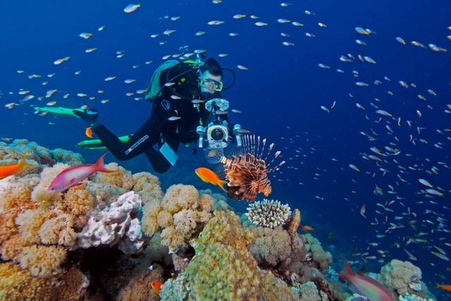 Desert Sea Divers are popular diving resorts