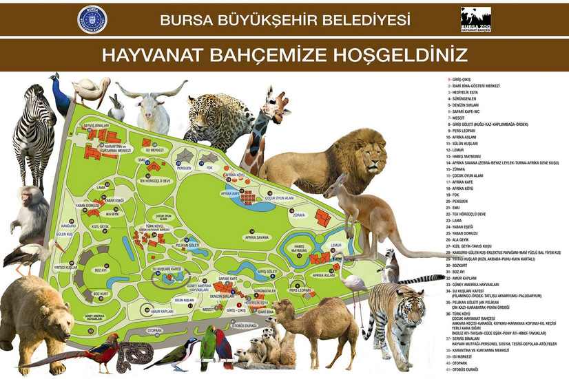 A mini map of Bursa Zoo