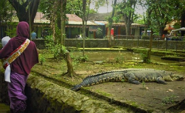 Zoo in Bandung Indonesia