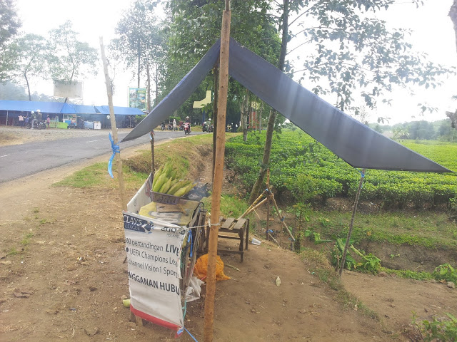 Chipode tea plantation is one of the best places to visit in Bandung, Indonesia