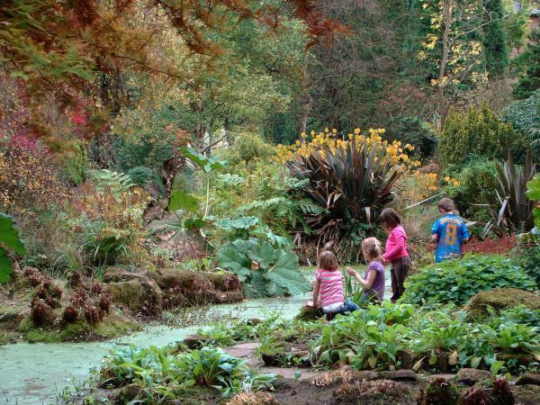 Top 5 activities in the Fletcher Moss Botanical Garden, Manchester, England