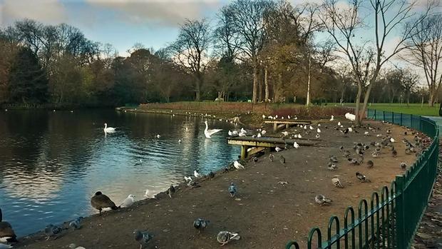 Alexandra Park is one of the most famous parks in Manchester, Britain