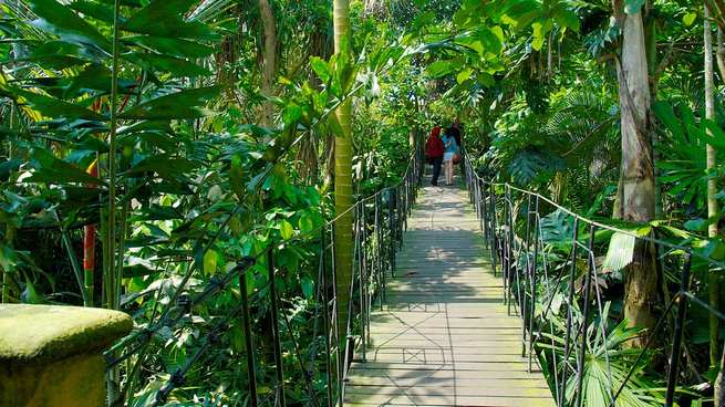Bali Bird Park is one of the most beautiful tourist places in Bali, Indonesia