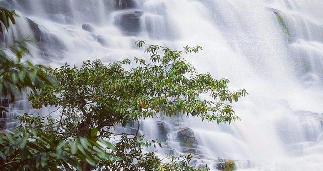 4 best activities in Mai Ya Chiangmai Waterfall