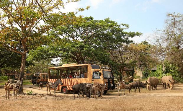 Bali Safari Park is one of the most beautiful entertainment places in Bali, Indonesia