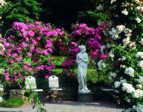     The flower garden is one of the most beautiful places of tourism in Germany, Baden-Baden