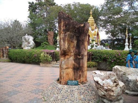 1581298143 847 The most important 8 activities in the Million Years Stone - The most important 8 activities in the Million Years Stone Park Pattaya