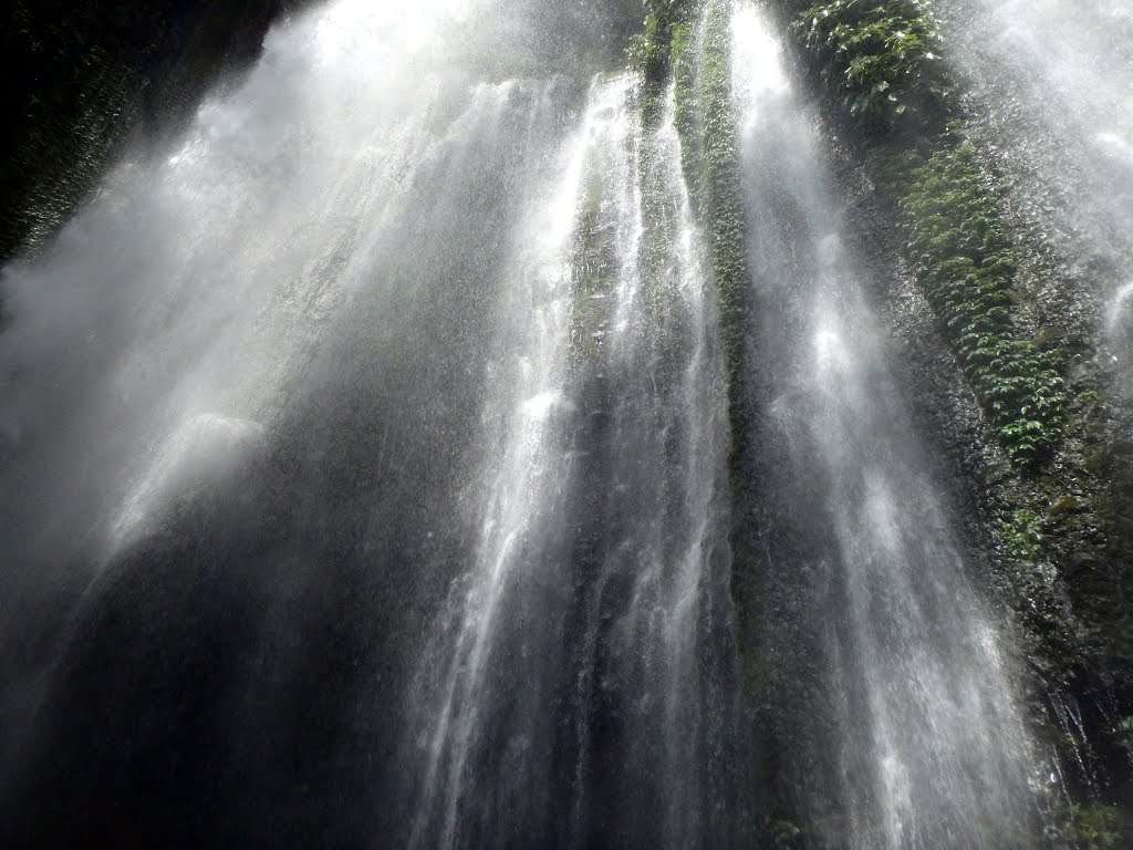 The best 4 activities in the Teo Cliff Waterfall in Lombok
