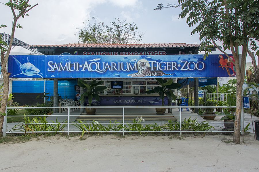 Top 5 activities in Samui Aquarium and the Kusamoy Tiger Park