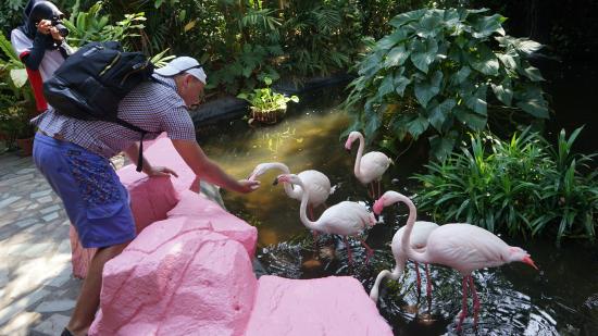 The wildlife park in Langkawi is one of the best places to visit in Malaysia