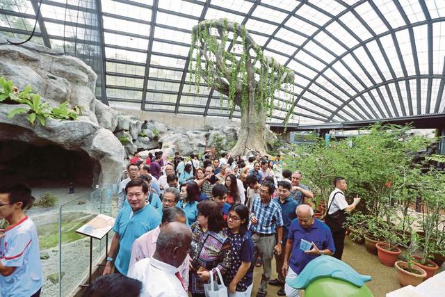 Butterfly park is one of the best places to visit in Penang 