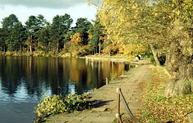 Top 5 activities in Sutton Park, Birmingham, England