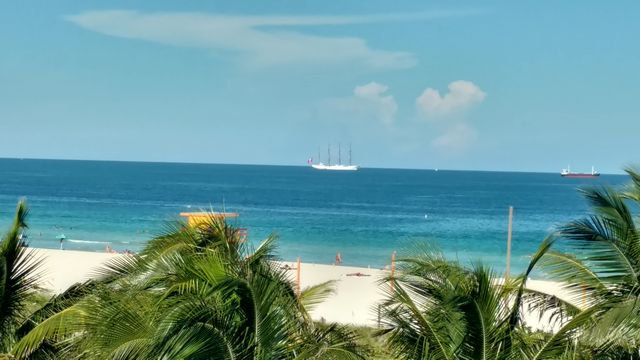 The aquarium is one of the most beautiful tourist places in Miami Beach