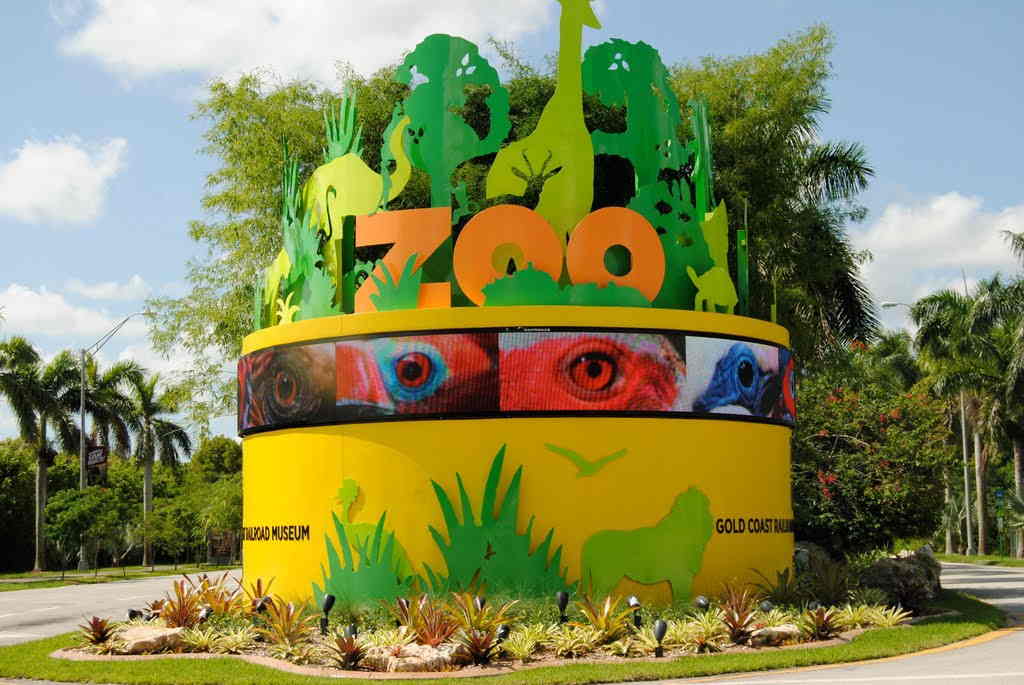 The 7 best activities in Miami American Zoo