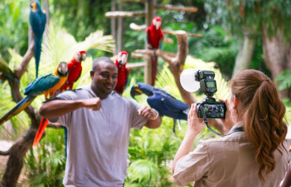 1581298853 205 Top 6 activities on parrot forest island Miami USA - Top 6 activities on parrot forest island, Miami, USA