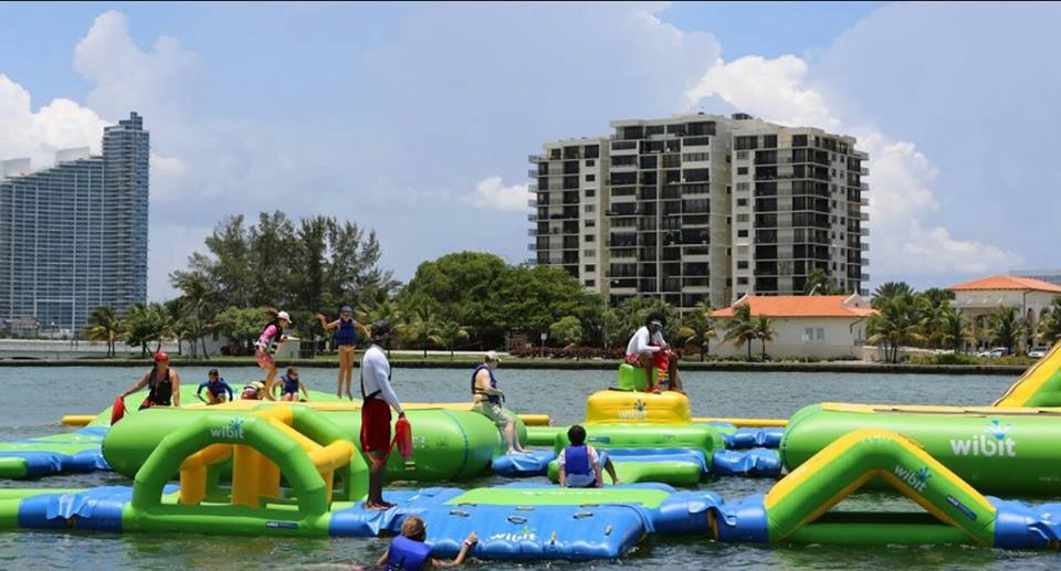 1581298853 95 Top 6 activities on parrot forest island Miami USA - Top 6 activities on parrot forest island, Miami, USA