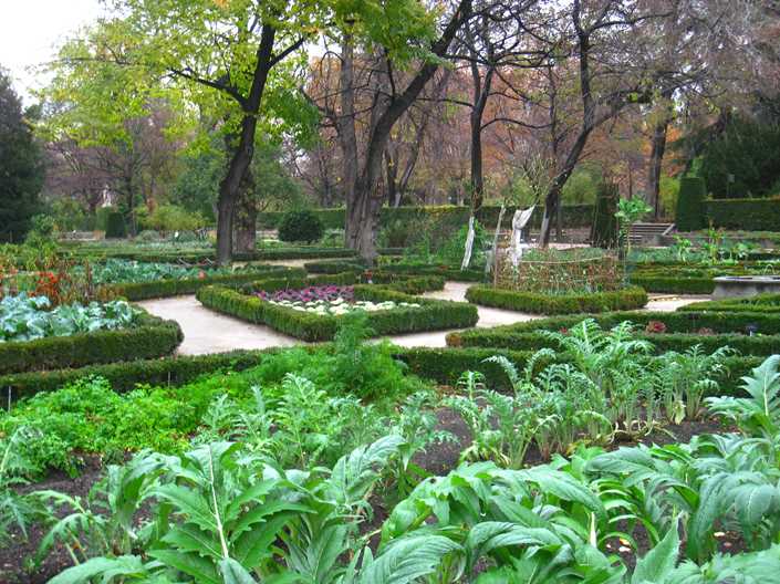 The Royal Garden of Nabana is one of the most beautiful tourist attractions in Madrid, Spain